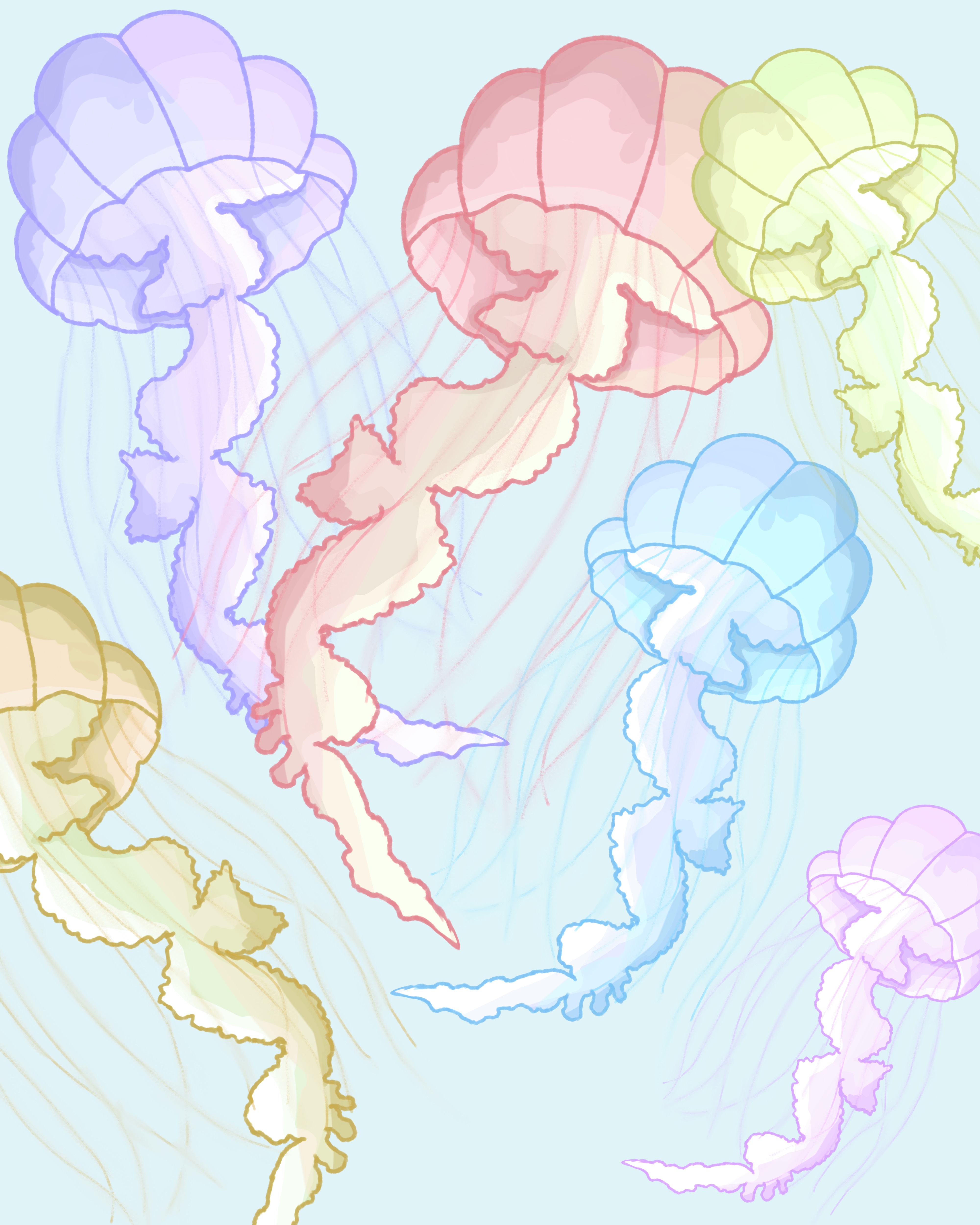 jellyfish